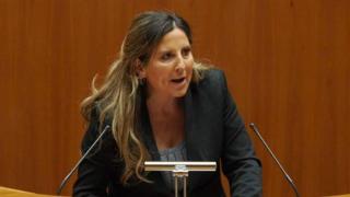 La procuradora de Vox por Burgos Ana Rosa Hernando en un pleno de la Cámara autonómica