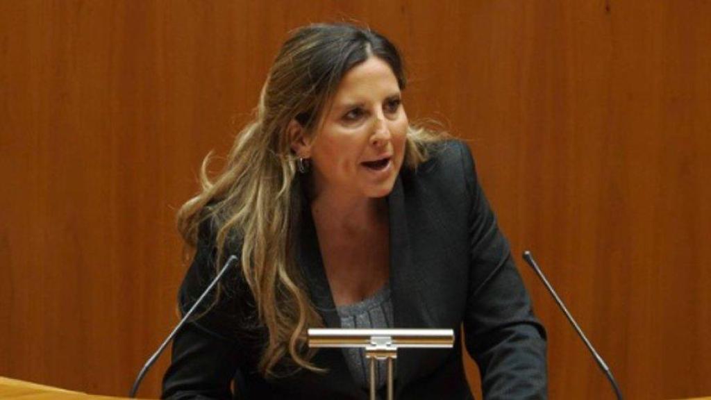 La procuradora díscola de Vox  Ana Rosa Hernando en un pleno de la Cámara autonómica