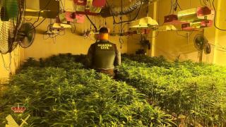 Localizan un laboratorio de drogas en un local de Beniparrell (Valencia) tras las inundaciones de la DANA