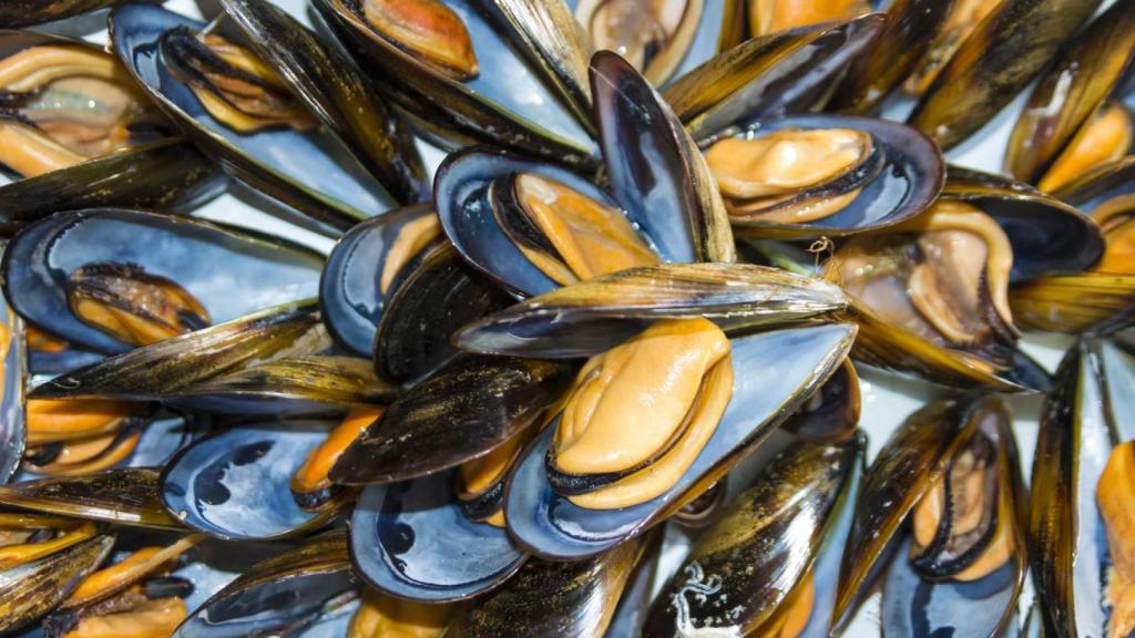 Imagen de unos mejillones.