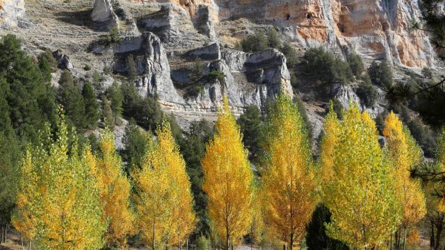Otoño en el Cañón del río Lobos