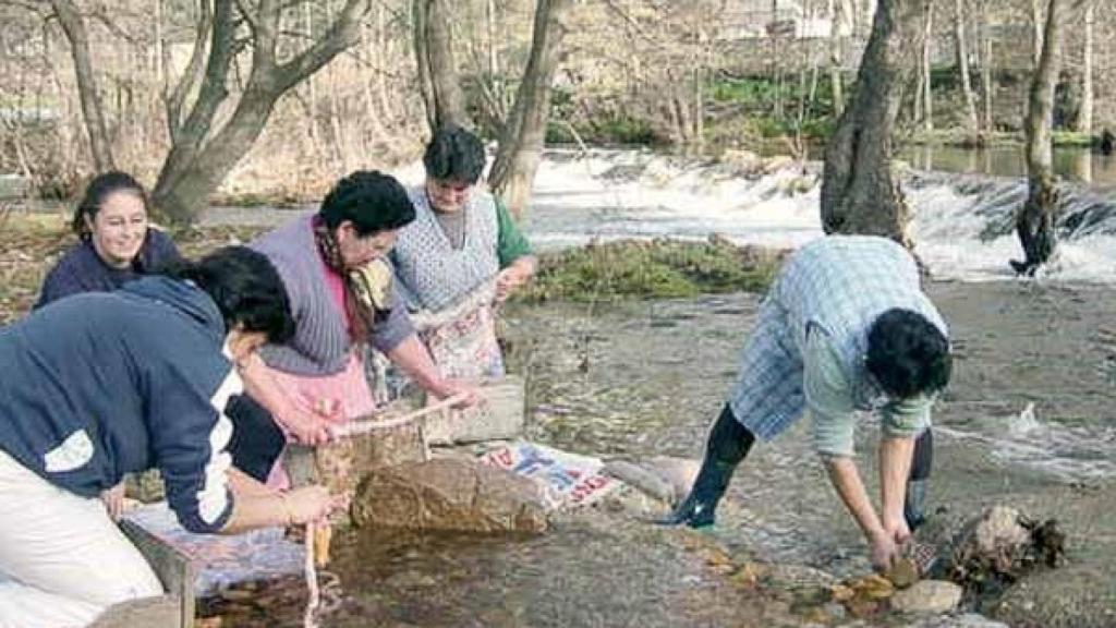 Lavado de las tripas en la matanza del cerdo