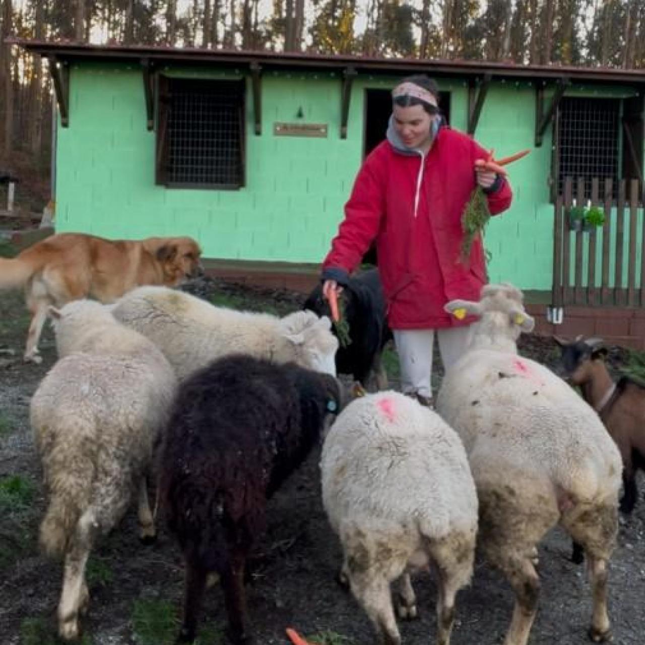 Sandra Martínez alimenta a sus animales.