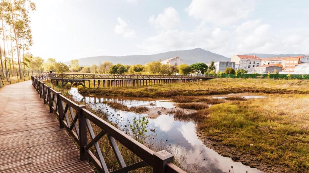 Paseo por las zona de humedales da Xunqueira