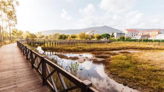 Paseo por las zonas de humedales da Xunqueira