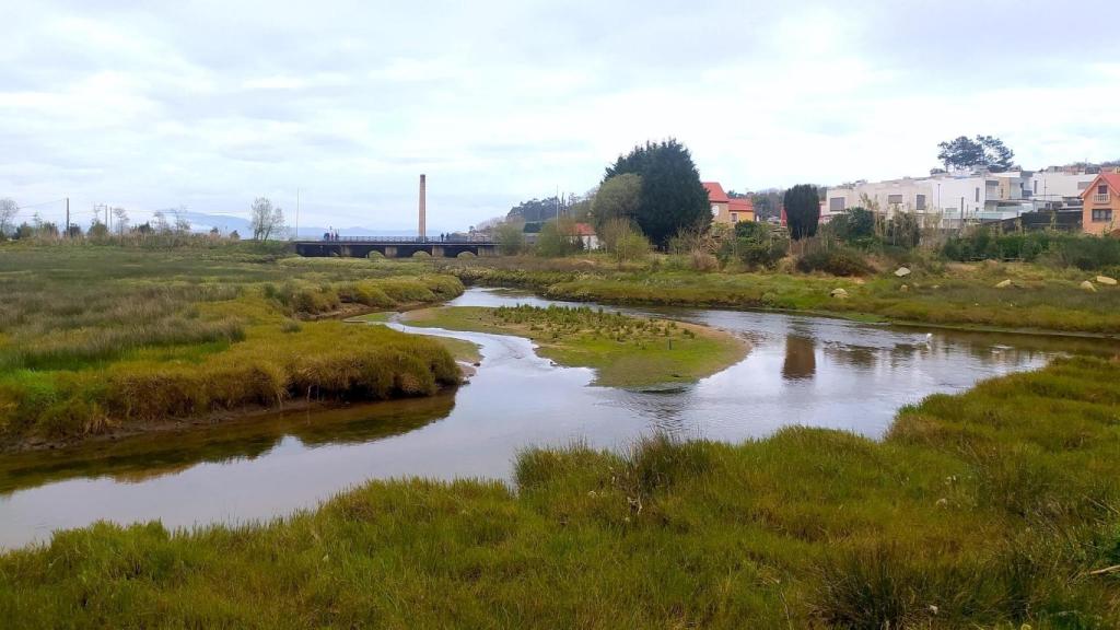 Marismas de A Xunqueira.