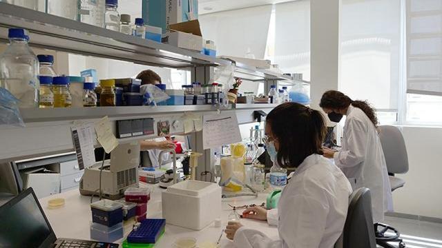 Investigadoras de la UMA.