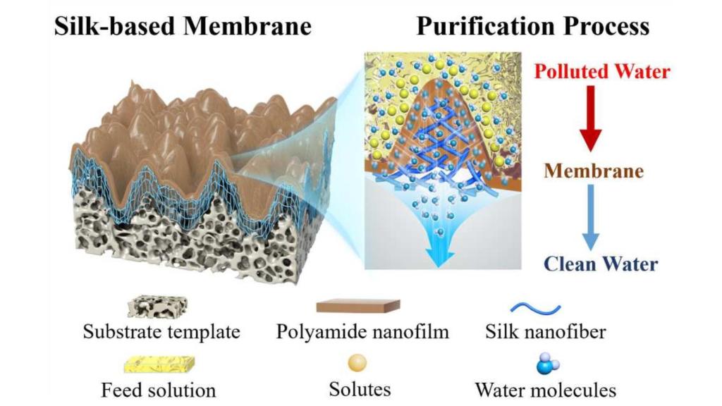 Esquema del funcionamiento de la membrana de nanofiltración a base de seda.