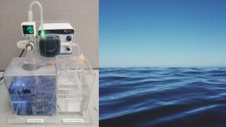 Montaje del dispositivo con la membrana y de agua del mar.