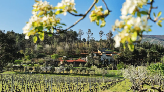 Pazo de la Cuesta Pazo de la Cuesta (Facebook)