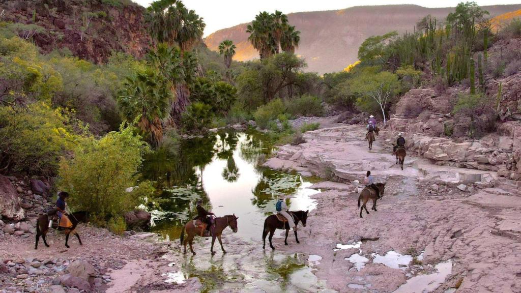 Las expediciones de Nekawe Proyect combinan ciencia, educación y bajo impacto.