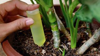 f848x477-1517913_1575716_5050