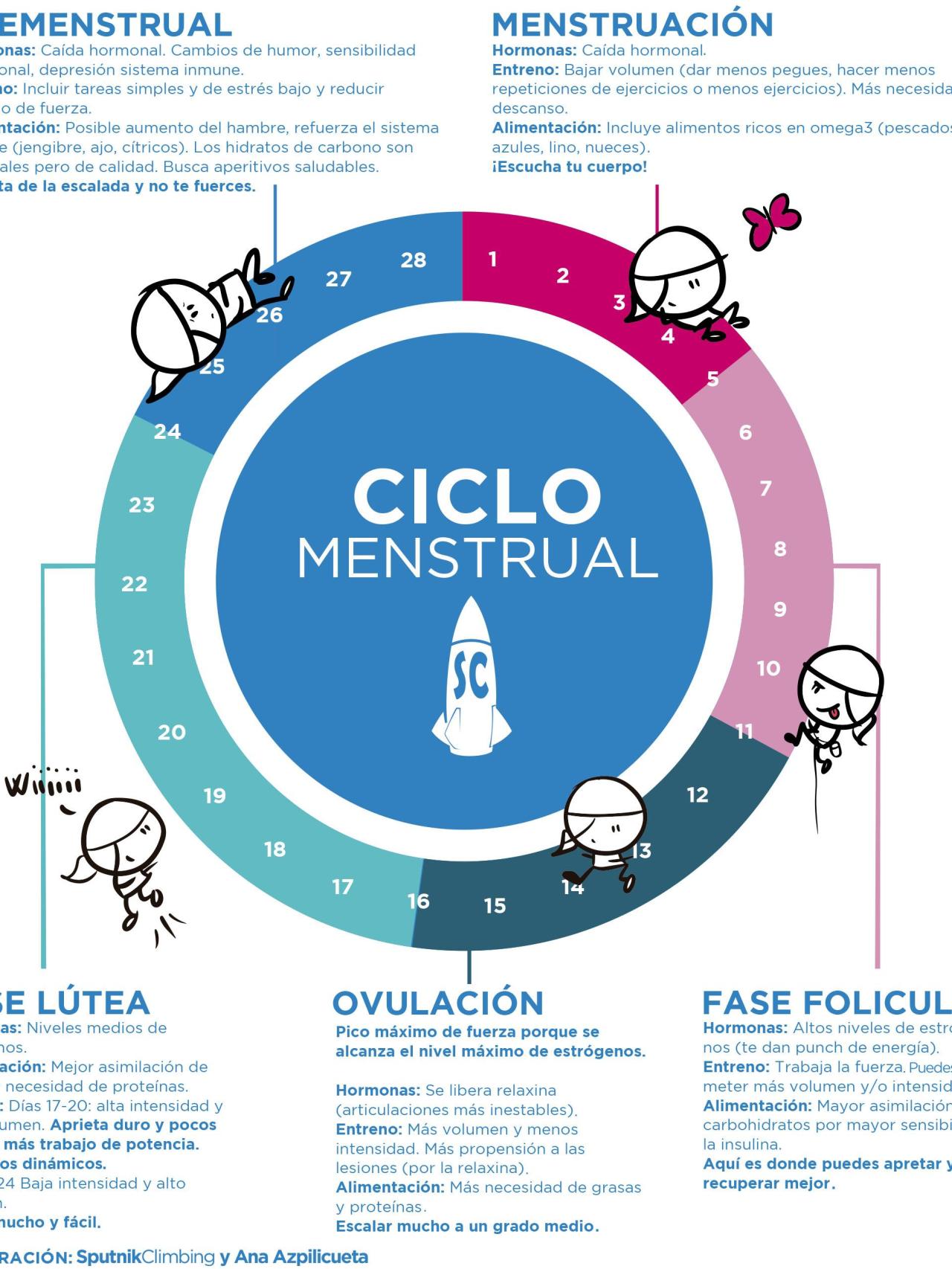 Ciclo menstrual y entrenamiento.