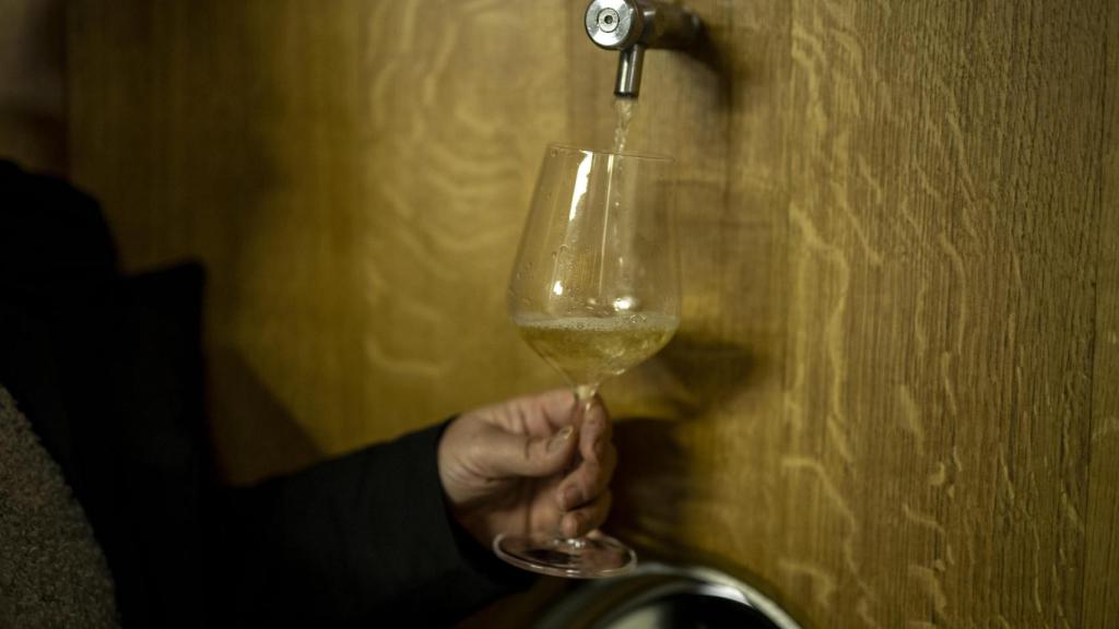 Cecilia Fernández extrae de la barrica una copa de vino blanco de variedad Godello.