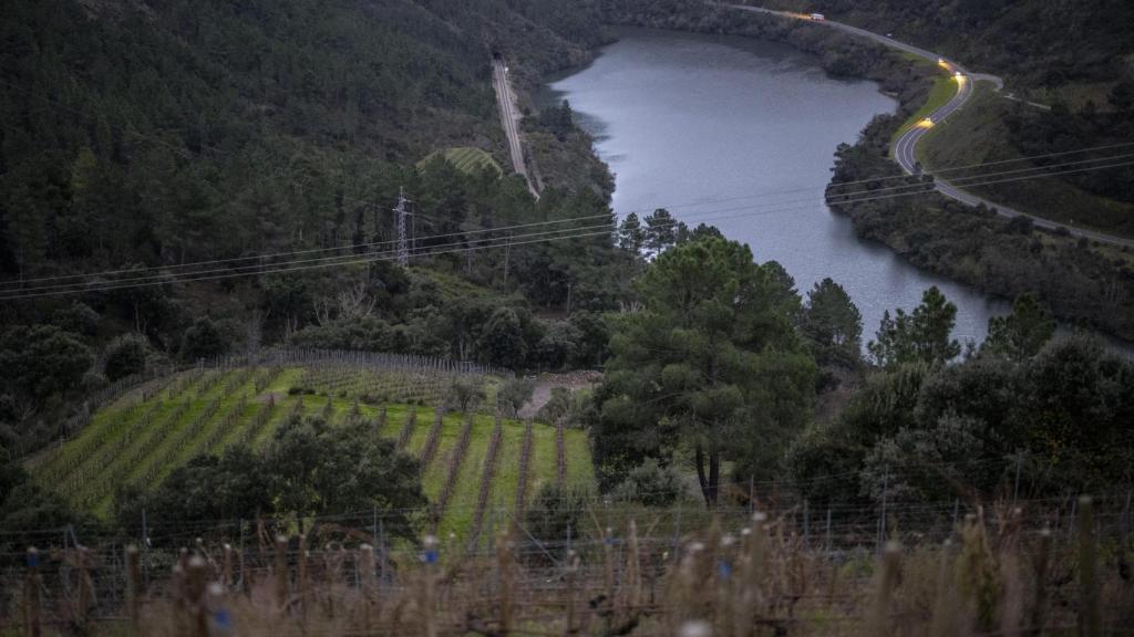 Vistas del río Sil desde los viñedos de Antonio López. Todos tienen nombres de familiares.