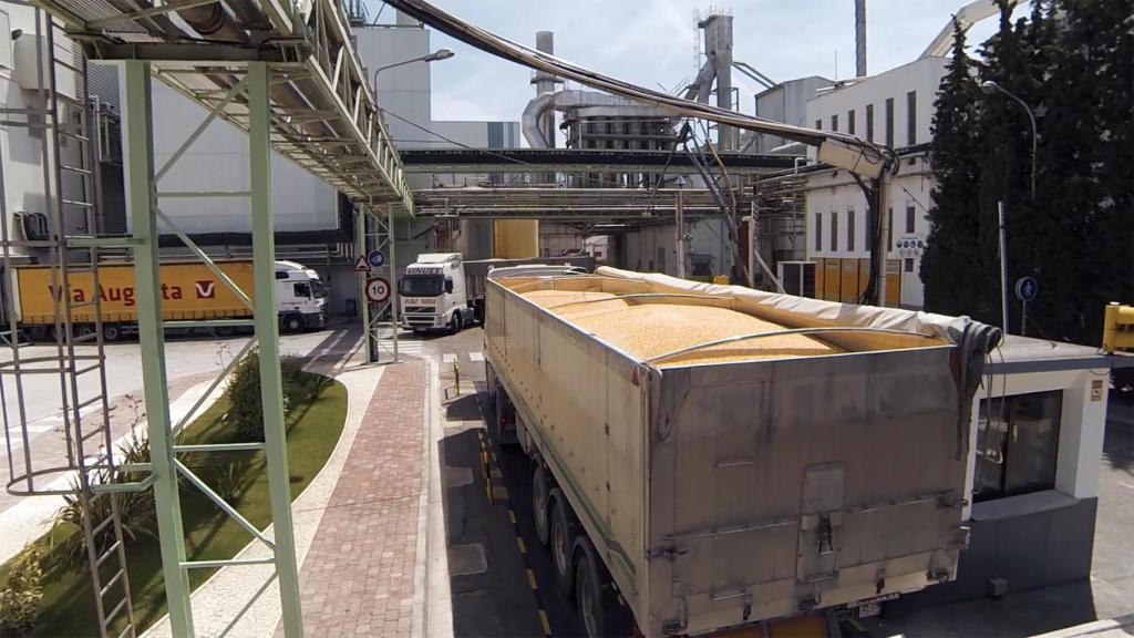 Un camión de Tereos con maíz.