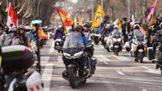 Desfile de banderas Pingüinos 2025