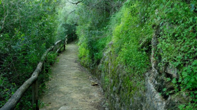 Imagen de un tramo del sendero.