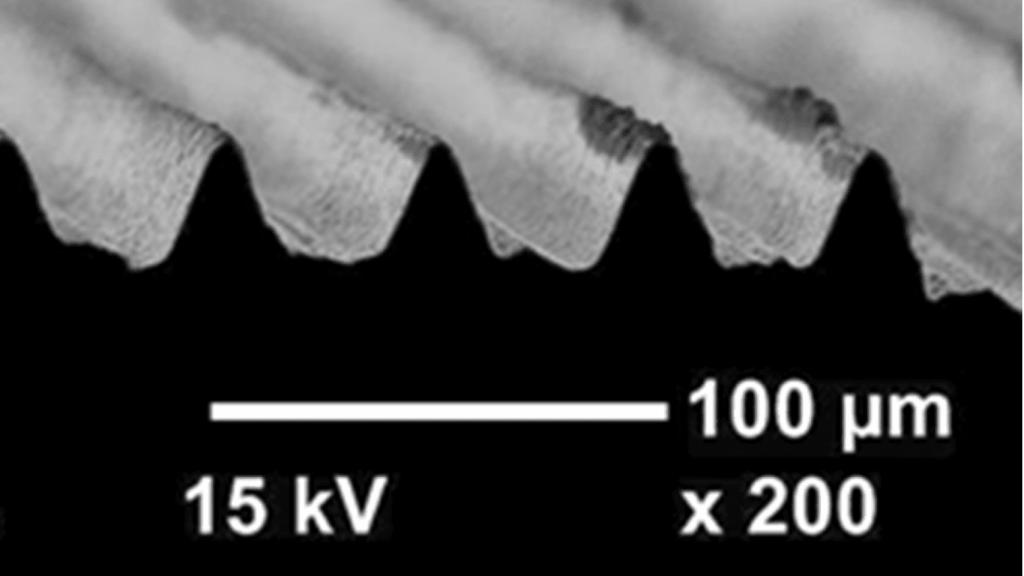 Detalle de los riblets al microscopio