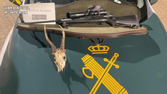 Arma y cráneo de corzo intervenido en la provincia de Ávila