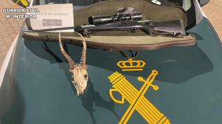 Arma y cráneo de corzo intervenido en la provincia de Ávila