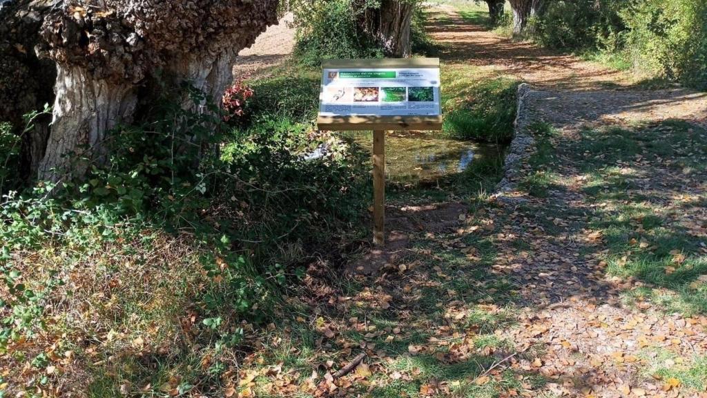 Ruta senderista. Foto: Ayuntamiento de Brihuega.