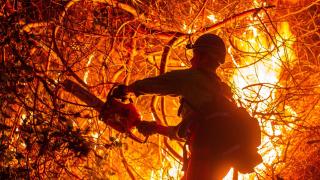 Un bombero extingue el incendio de Palisades , uno de varios incendios simultáneos que han arrasado el condado de Los Ángeles .