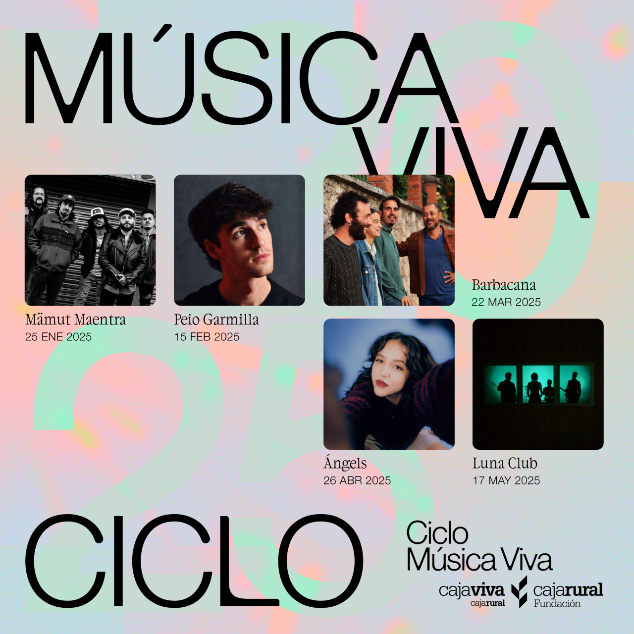 Cartel del Ciclo Música Viva