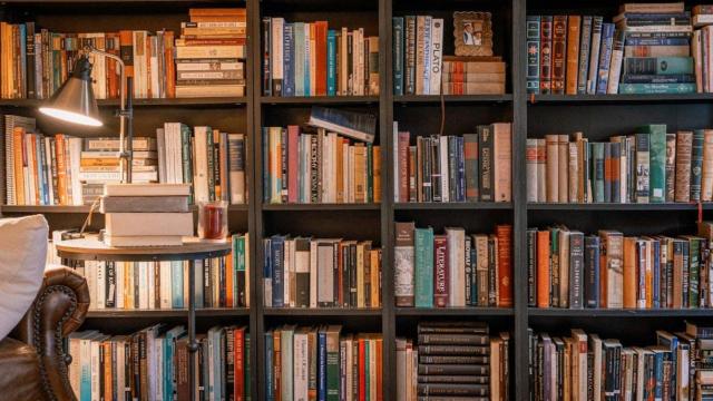 Libros surtidos en una librería. Foto: Pexels