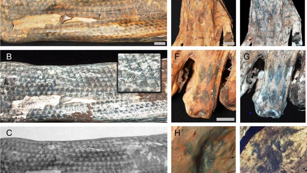 Detalle de algunos de los tatuajes identificados en las momias prehispánicas.