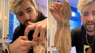 El sencillo truco de un pescadero español para limpiar el pulpo fácilmente: Ojo, tiene tres corazones