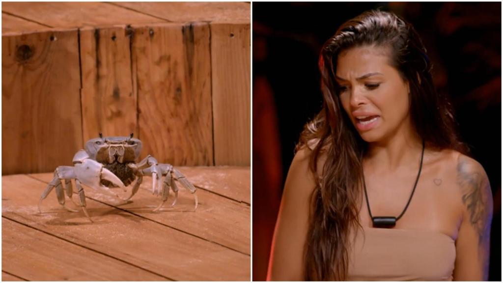 Ana Luiza y el cangrejo