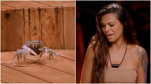 Ana Luiza y el cangrejo