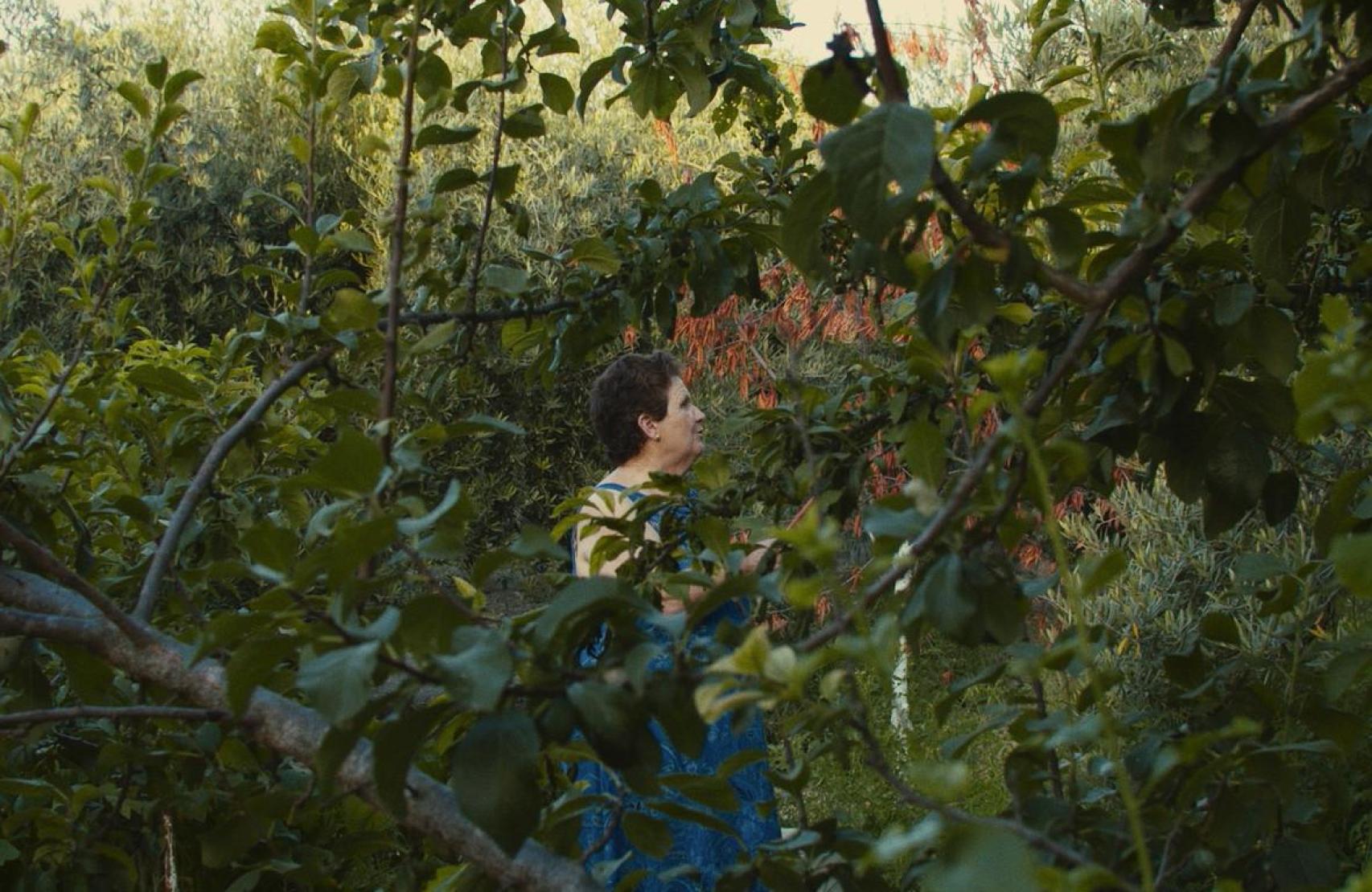 Fotograma de El cuento del limonero.