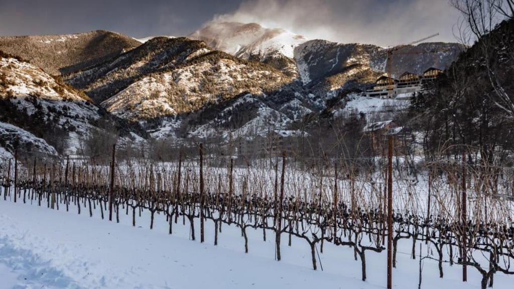 Viñedos en Andorra.