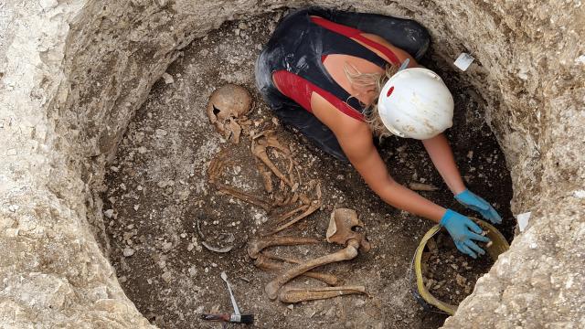 Excavación de una tumba de la tribu celta de los durotriges de finales de la Edad del Hierro.