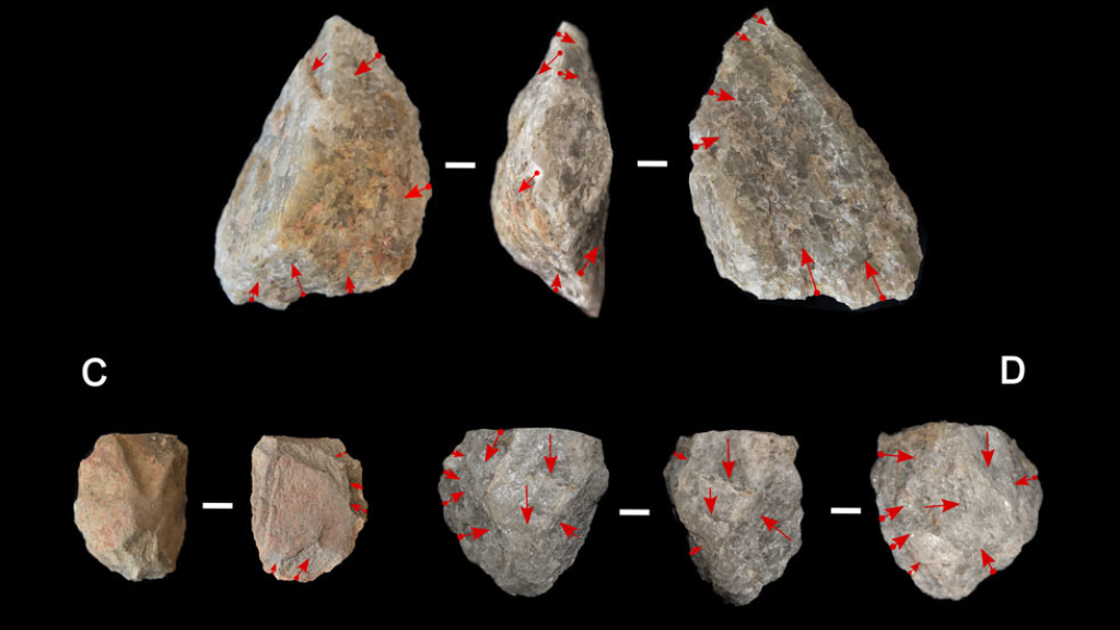 Herramientas de piedra fabricadas por el 'Homo erectus' halladas en el yacimiento de Engaji Nanyori.