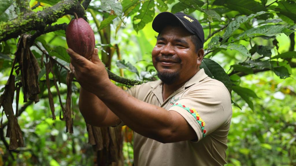 Constantino Blandford , cacaotero de Panamá, cree en la agricultura como método de conservación.