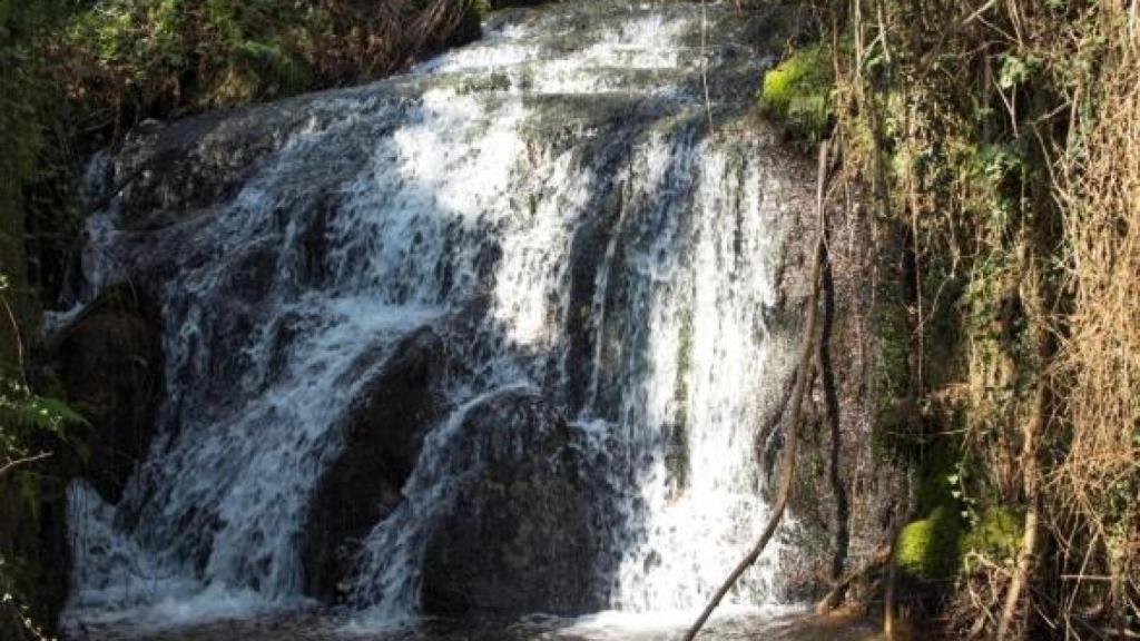 Fervenza de Brixería