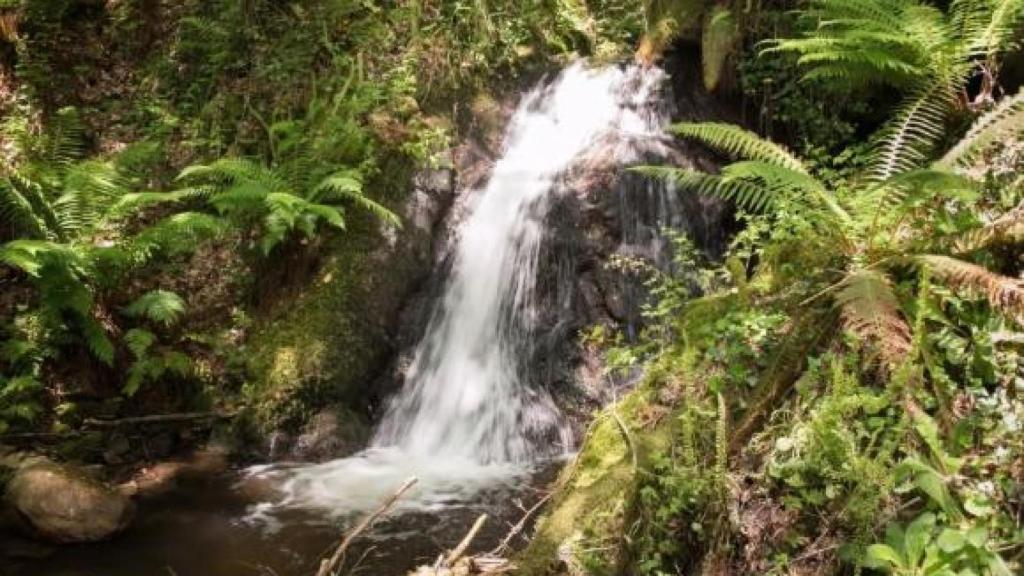 Fervenza de Budián (Zas)