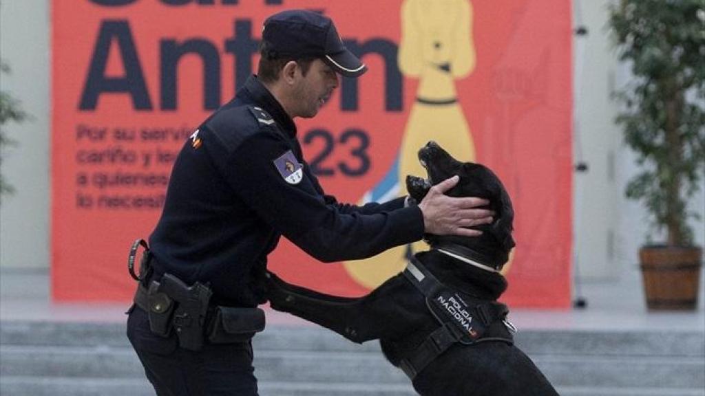 Un policía realiza una maniobra con su perro en una exhibición en Cibeles.