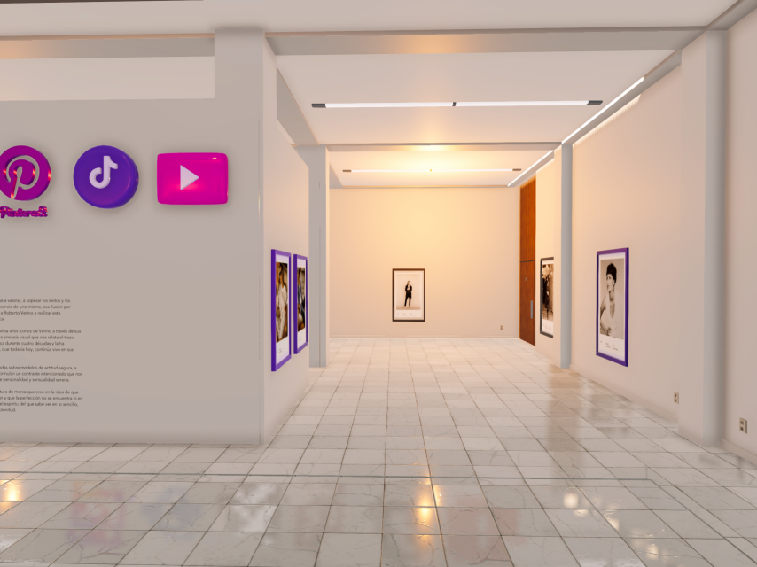 Vista del proyecto 40x10.