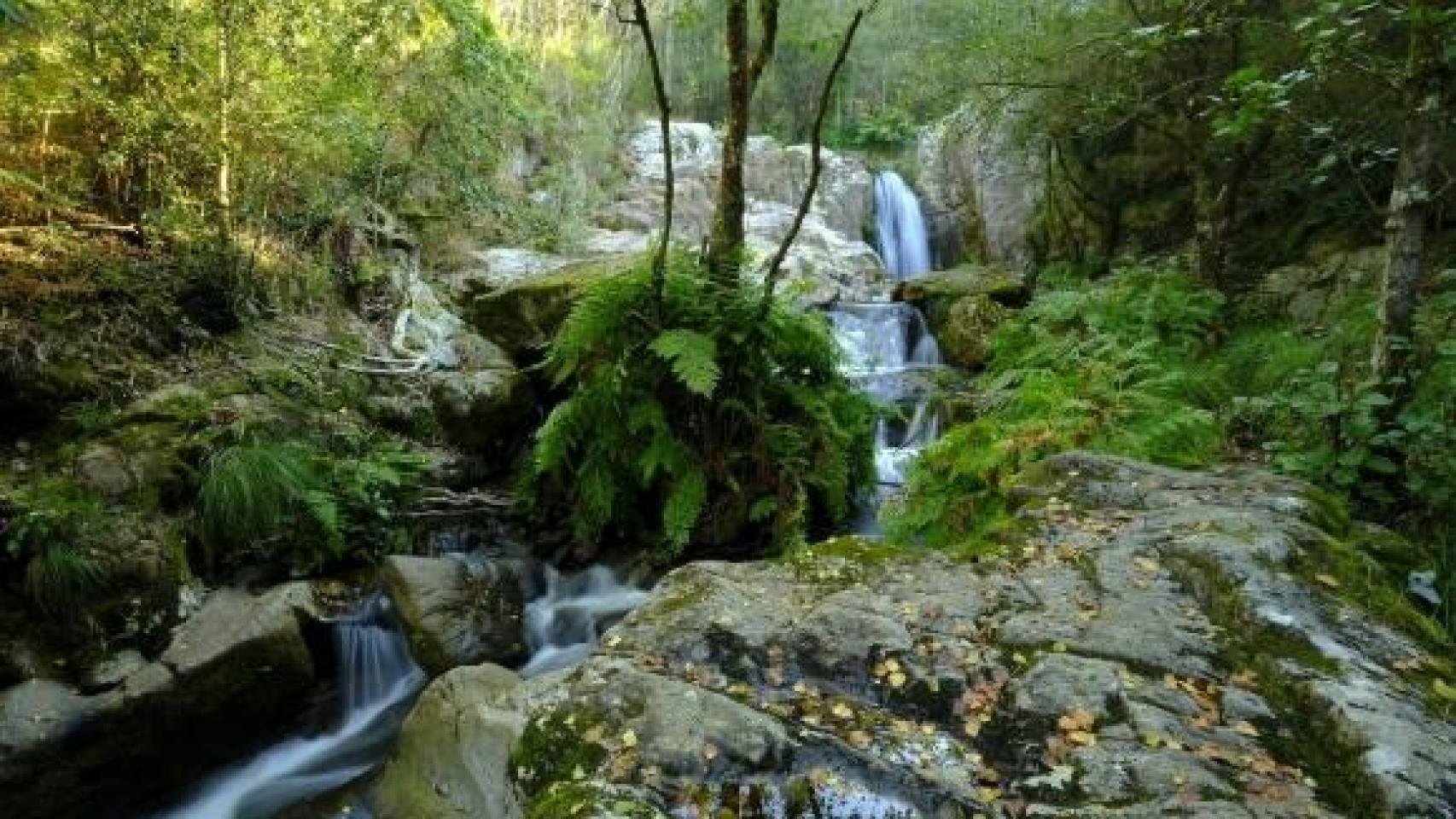 Fervenza do Zarzo (Irixoa)