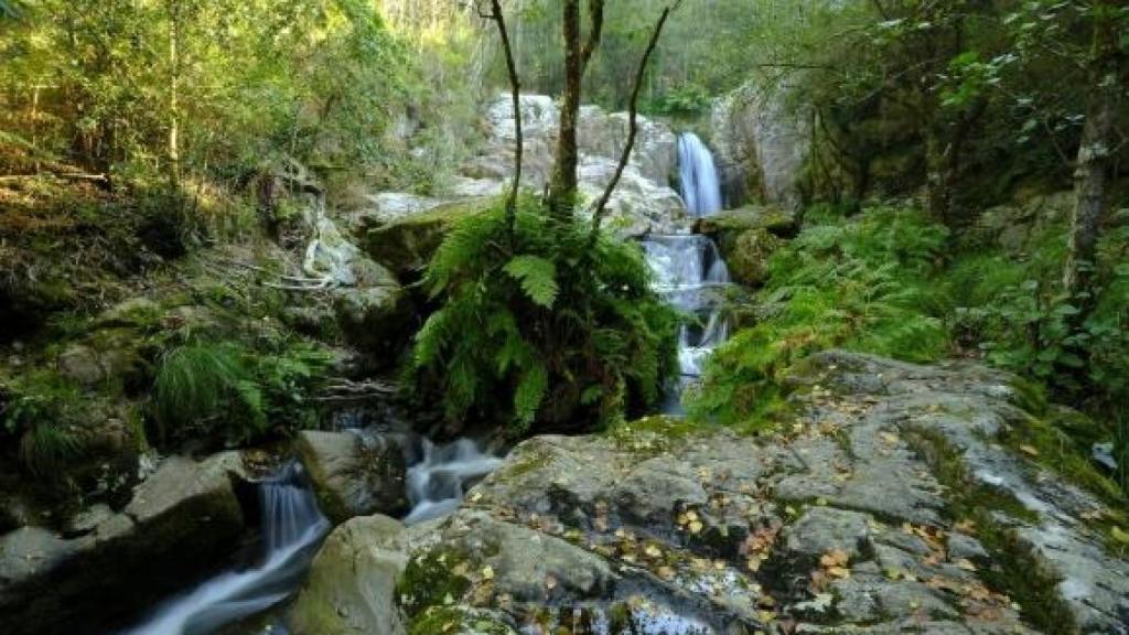 Fervenza do Zarzo (Irixoa)