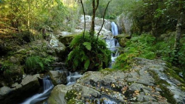 Fervenza do Zarzo (Irixoa)