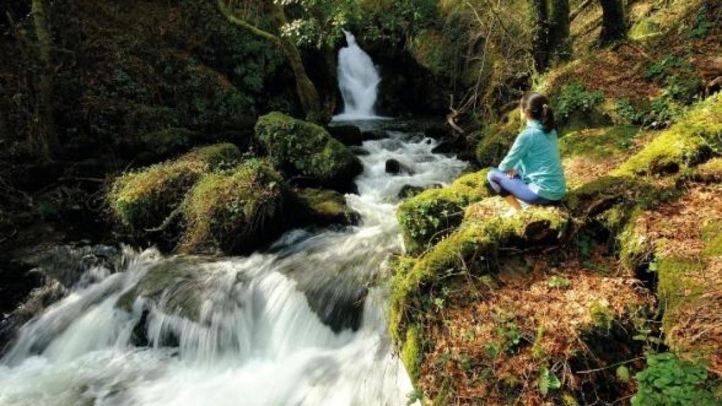 Fervenza do Pozo Negro