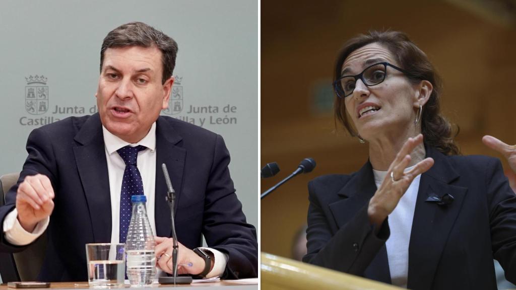 A la izquierda, Carlos Fernández Carriedo, portavoz de la Junta de Castilla y León (Eduardo Margareto - Ical), y a la derecha Mónica García, ministra de Sanidad (Efe).