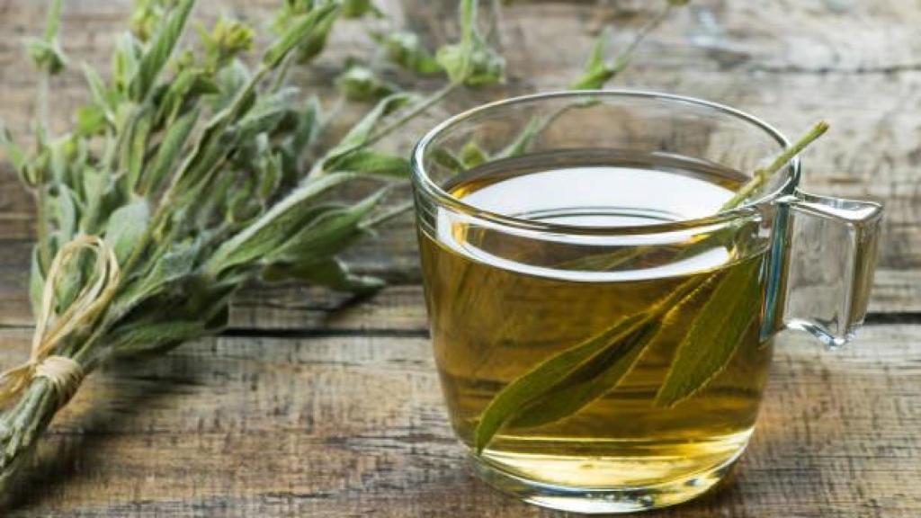 Una taza con una infusión de salvia.
