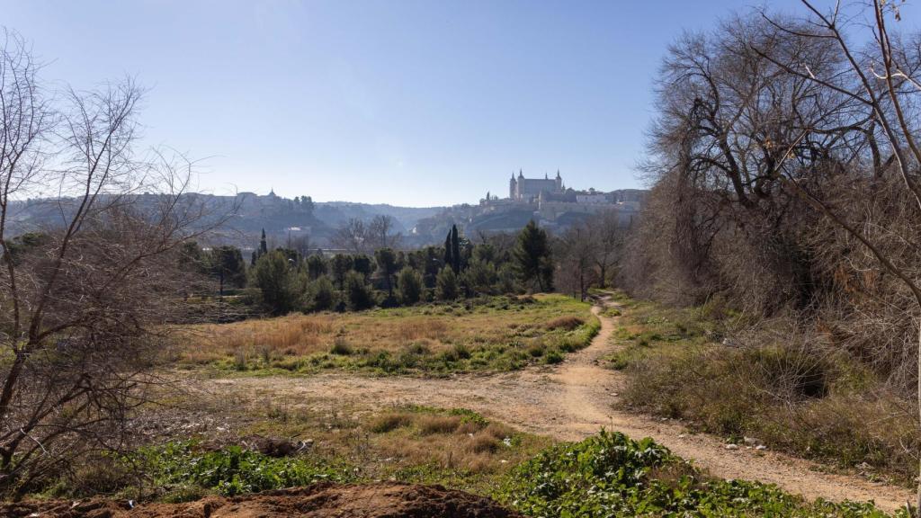 La parcela elegida por el Ayuntamiento de Toledo cuenta con una superficie de 10.000 metros cuadrados.