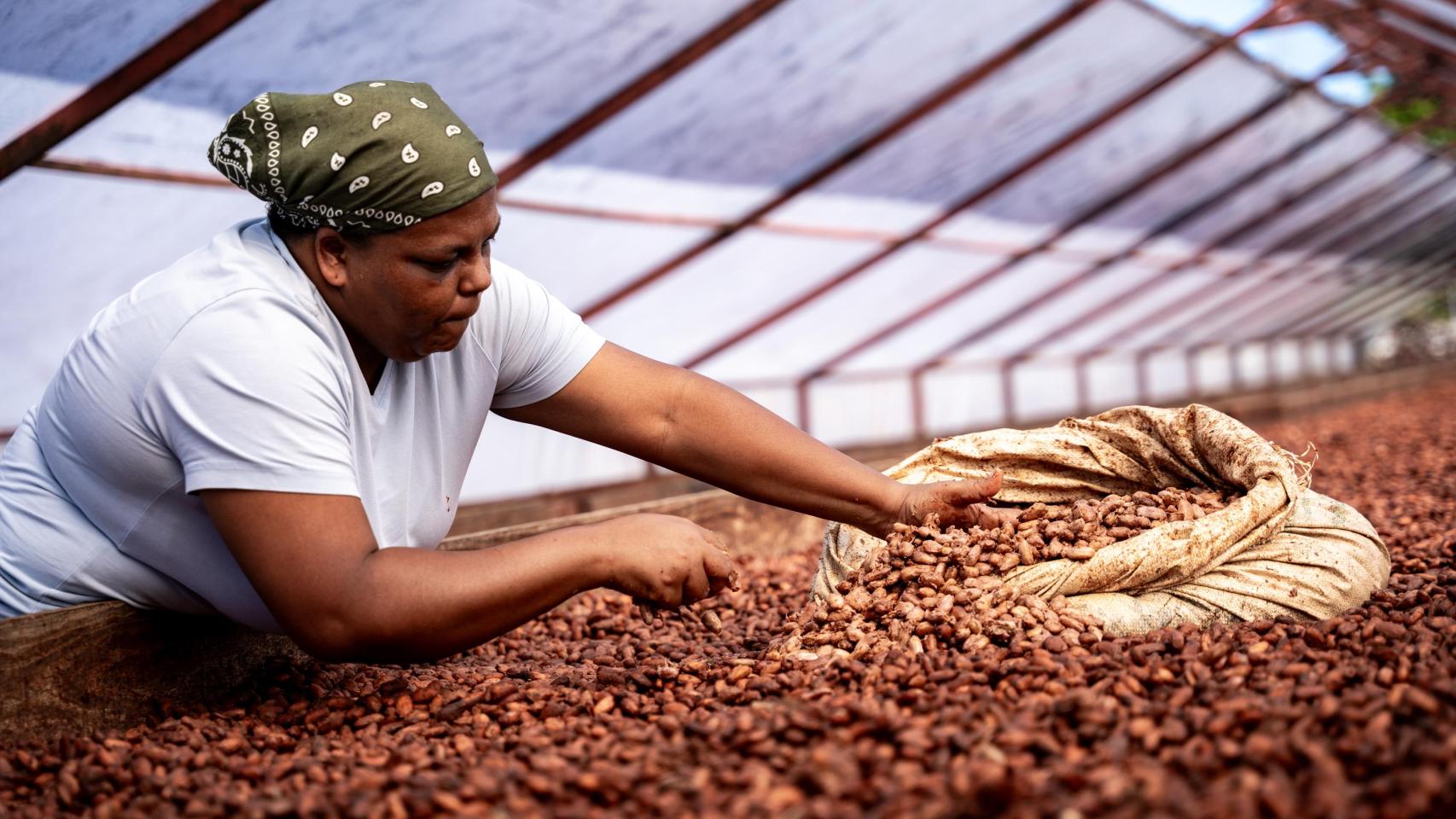 Ana Rodríguez, de la cooperativa Las productivas, trabajando con el cacao.